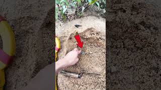 🔍 Metal Detector Finds Hidden Gem – Watch This Incredible Discovery [upl. by Rebm]