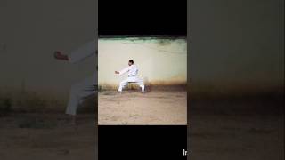 Ura Ushiro Mawashi Geri Practice vairalshort [upl. by Polky]