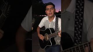 Los Talibanes del Prieto Ariel Camacho cover [upl. by Ilellan]