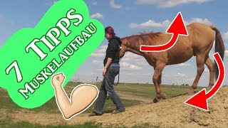 7 Tipps zum effektivem Muskelaufbau durch Bodenarbeit  Serenity Horses [upl. by Lienahs748]