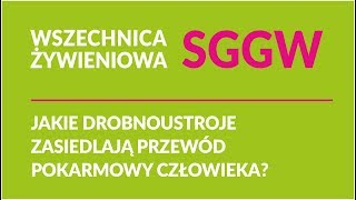 Jakie drobnoustroje zasiedlają przewód pokarmowy człowieka [upl. by Ecadnac]