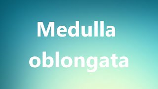 Medulla oblongata  Medical Meaning and Pronunciation [upl. by Ahmad]