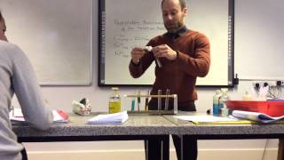 Transition metal ion Precipitation reaction demonstration from wwwChemistryTuitionNet [upl. by Eloc908]