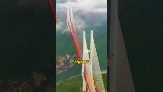 China Spent 200 Million On This Project😱😱 shorts viral china travel facts [upl. by Gillmore330]