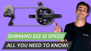 Shimano DI2 12 Speed amp All You NEED To Know  Battery Check Shifting Modes Indexing amp ETube App [upl. by Wershba338]