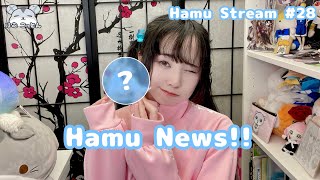 【Hamu Stream  28】Hamu News [upl. by Marcia344]