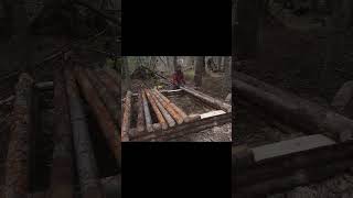 Incredible Cozy Cabin by Foresty Forest bushcraft camping survival asmr [upl. by Ermey]