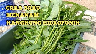 Cara Baru Menanam Kangkung Hidroponik Sederhana untuk Pemula  Tutorial Hidroponik [upl. by Alleyne]