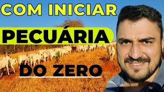 05 Dicas para Iniciar na Pecuária do Zero [upl. by Lias537]