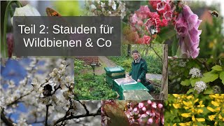 Gehölze für Wildbienen amp Co [upl. by Yknarf]