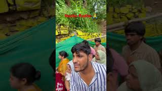 Barsana mandir barsana radhakrishna radhe tample explore trending shorts barsanadham radha [upl. by Mozza603]