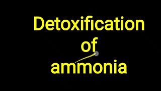 Ammonia Detoxification [upl. by Siraj]