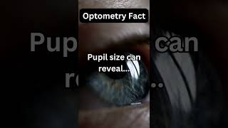 What your PUPIL SIZE can reveal [upl. by Oneil]