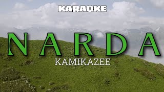 N A R D A  KAMIKAZEE  KARAOKE [upl. by Maxwell]