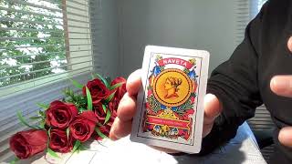 TAURO 18 AL 31 DE ENERO 2024  HOROSCOPO DE HOY TAROT [upl. by Arihsat]