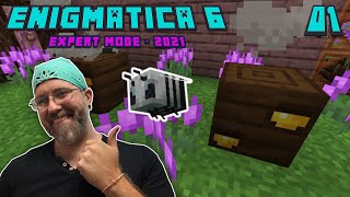 Lets Play Enigmatica 6 Expert EP 1  Invar Bee How to get Invar Dust for Induction Smelter [upl. by Gruber]