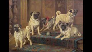 historical changes in pugs over time [upl. by Leffert]