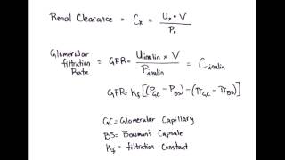 Equation Rapid Review Renal Clearance amp Glomerular Filtration Rate [upl. by Alleciram]