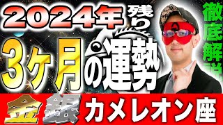 【ゲッターズ飯田】2024年最後の3ヶ月！予測する運勢の衝撃的真実【金のカメレオン座・銀のカメレオン座】 [upl. by Lynette]