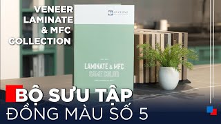 Bộ Sưu Tập Đồng Màu quotGây Bãoquot Của An Cường Có Gì  Gỗ An Cường [upl. by Galer103]