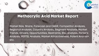 Methacrylic Acid Market Report 2024 [upl. by Hesketh]