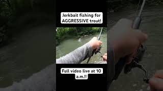 Jerkbait fishing with the rapala countdown elite troutfishing [upl. by Kerge]