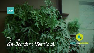 Dicas de jardim vertical 19 [upl. by Felicdad]