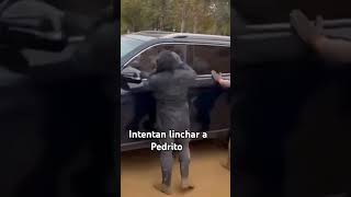 Intentan Intentan linchar a Pedrito [upl. by Mercier]