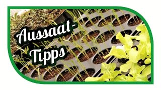 Aussaat amp Gartentipps im April 🌱 Jungpflanzenanzucht 🥦 Gemüse erfolgreich anbauen [upl. by Annaert581]