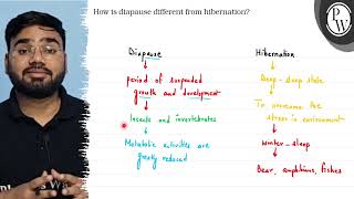 How is diapause different from hibernation Diapause Hibernation pe [upl. by Nuriel407]