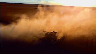 John Deere X9 Combine Harvesting in the Midwest [upl. by Aneehs979]