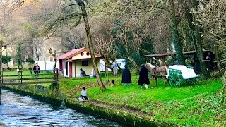 Noi al Presepe dei Lavandaisenza parole [upl. by Behlke68]