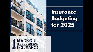 Insurance Budgeting for 2025 [upl. by Sebastiano499]