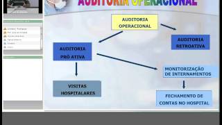 Auditoria em Enfermagem Parte I 0flv [upl. by Ecidna]