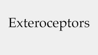 How to Pronounce Exteroceptors [upl. by Annaes]