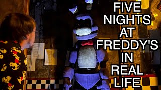 Five Nights at Freddys In Real Life [upl. by Dulsea]