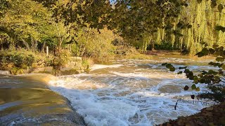 Fast flowing River Avon Saxon Mill Guys Cliff Warwick UK [upl. by Neibaf]