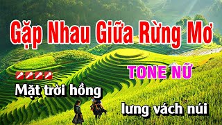 Karaoke Gặp Nhau Giữa Rừng Mơ Tone Nữ Beat Chuẩn  Hoàng Luân [upl. by Meagan]