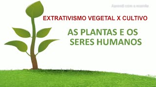 AS PLANTAS  Extrativismo vegetal e Cultivo 2 ano [upl. by Dicks]