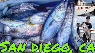 🔥OVERNIGHT BLUEFIN TUNA TRIP ABOARD THE HIGHLINER SPORTFISHING  SAN DIEGO CA  SUMMER JULY 2024🔥🎣🤙🏼 [upl. by Aiuoqes]