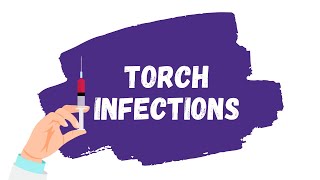 TORCH Infections EXPLAINED  Toxoplasmosis CMV Rubella HSV2 [upl. by Ahsimal260]