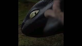 toothless and hiccup edit [upl. by Kimberlee]