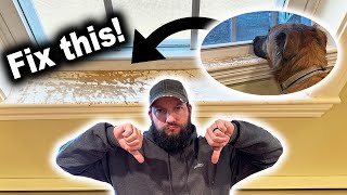 How to Fix Damaged Interior Window Sill without Replacing  Deep Scratched Wood Repair [upl. by Abdu]