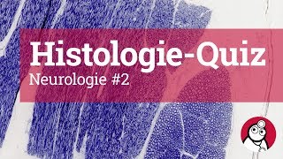 DocCheck HistologieQuiz Neurologie 2 [upl. by Sousa]