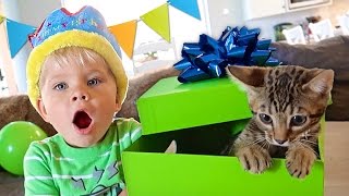 BIRTHDAY KITTEN SURPRISE  Ollie’s 3rd Birthday Special [upl. by Aciram]