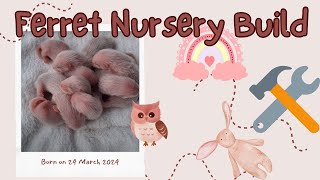 Preparing for BABY FERRETS  Check Out Our Nursery Build [upl. by Gnoh]