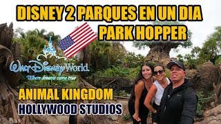 Disney Park Hopper 2 parques en un día  Parte 1 [upl. by Solegnave590]