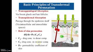 Transdermal Drug Delivery System [upl. by Carberry]