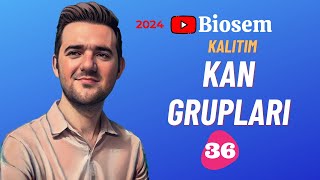 Kan Grupları Çok Alellilik Soru Çözümü  2024 [upl. by Rowell713]