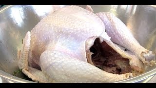 How to Brine Turkey for Thanksgiving [upl. by Ahsekat]